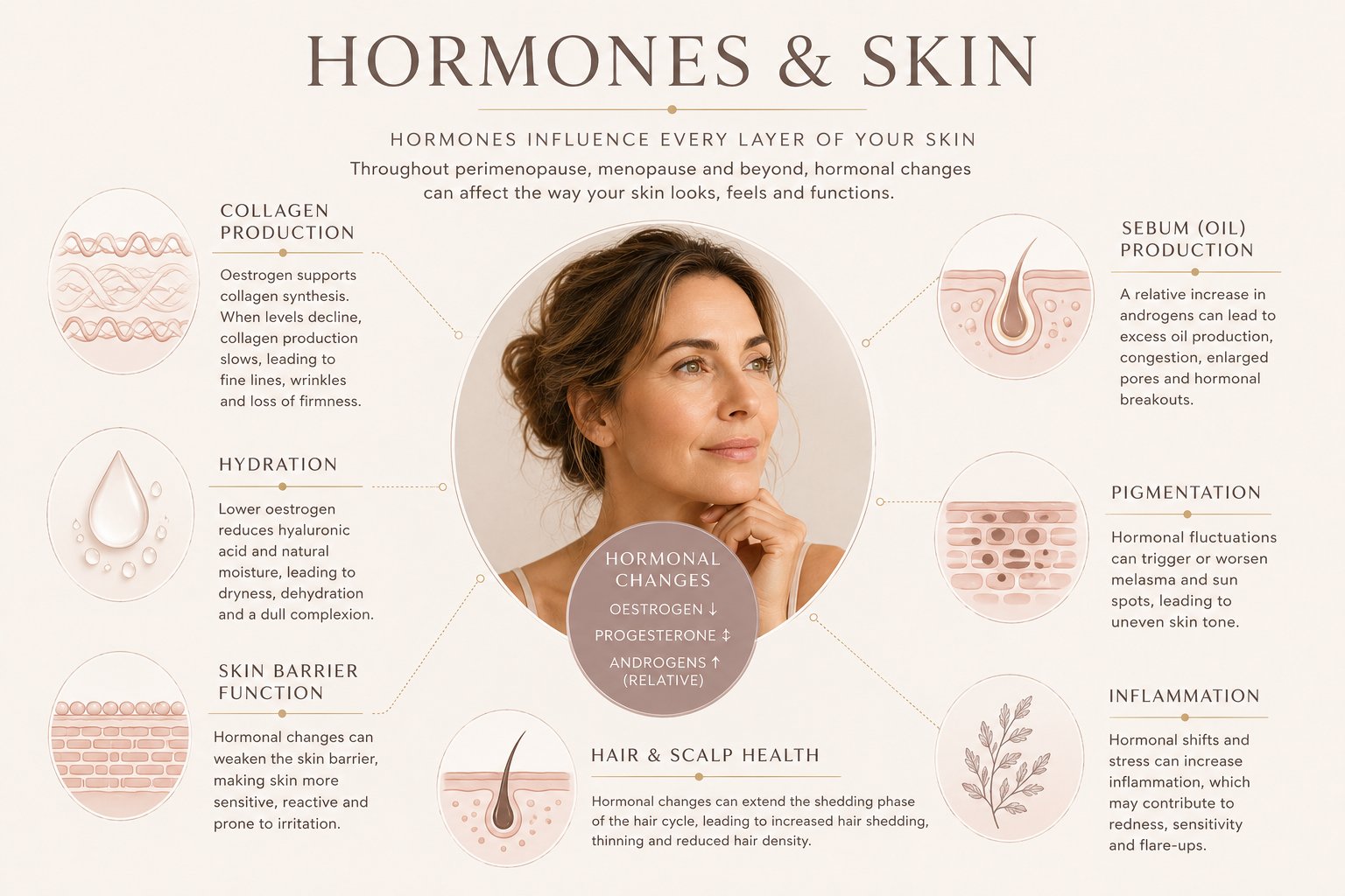 Infographic showing how oestrogen, progesterone and testosterone influence skin health